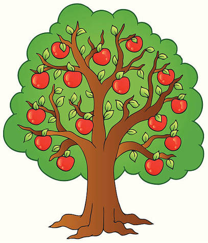 Apple_Tree.jpg
