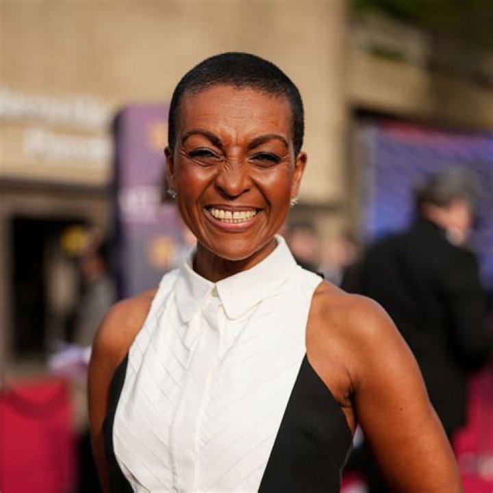
Adjoa Andoh Wiki: What’s His Ethnicity? Family & Career Highlight 