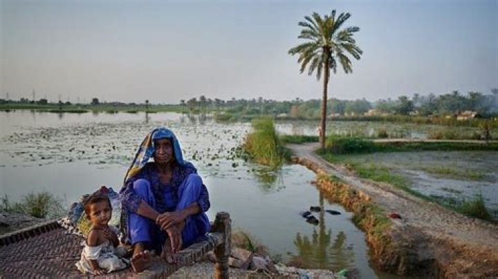 
Climate change likely increased heavy rain that led to Pakistan flooding: Study 