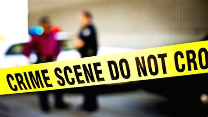 
Indo-Canadian gets 7 year jail-term for killing girlfriend 