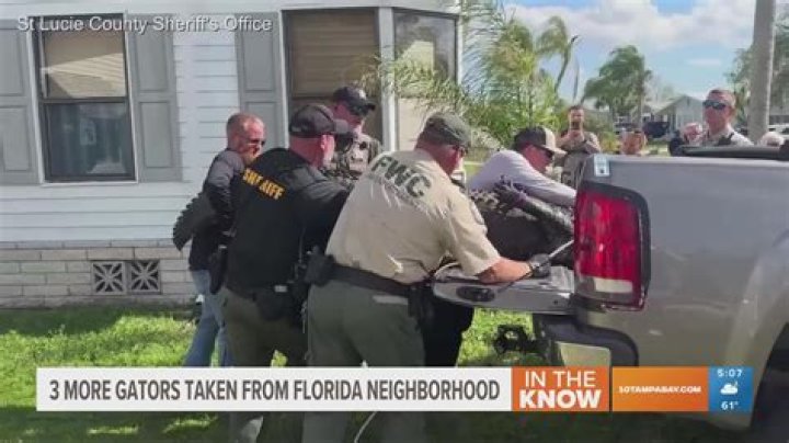
What happened to Gloria Serge? Officials identify Florida woman who died in fatal alligator attack 